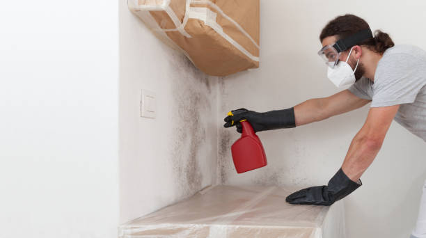 Professional Black Mold Remediation technician working in Linden, VA
