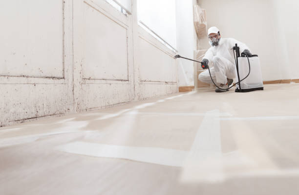 24/7 Emergency Black Mold Remediation experts in Linden, VA